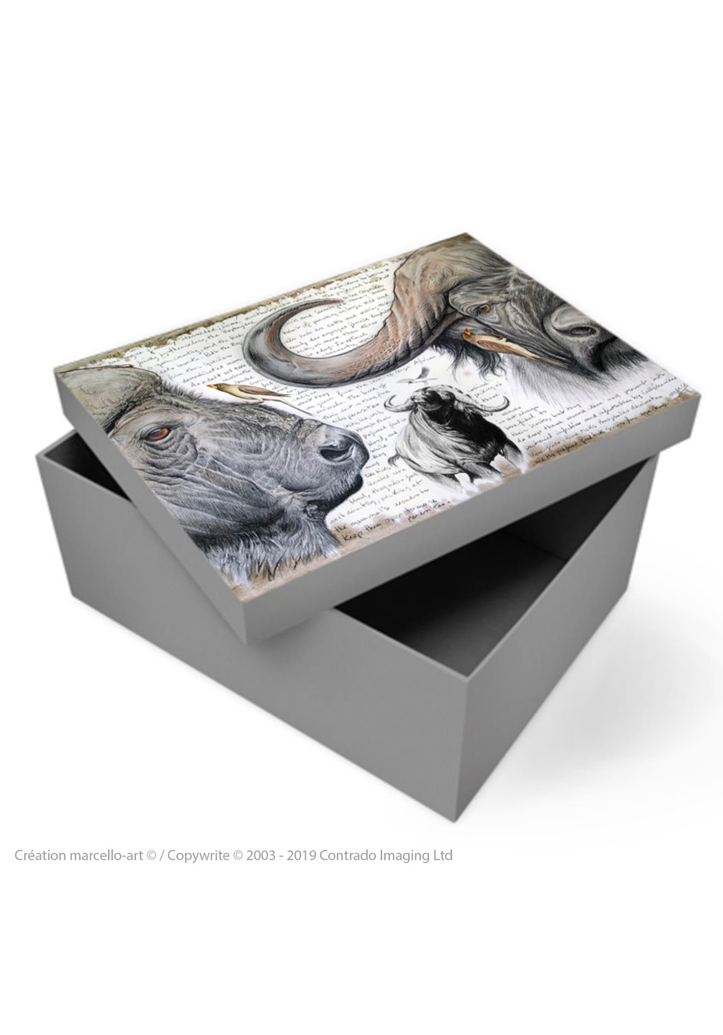 Marcello-art: Decoration accessoiries Souvenir box 227 red-billed Oxpecker