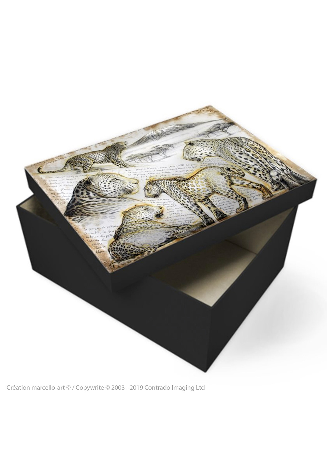 Marcello-art: Decoration accessoiries Souvenir box 252 leopard