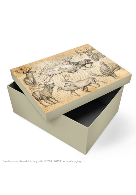 Marcello-art : Accessoires de décoration Boîte à souvenirs 271 cerf elaphe