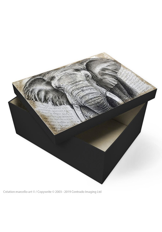 Marcello-art : Accessoires de décoration Boîte à souvenirs 299 Tusker