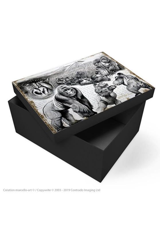 Marcello-art : Accessoires de décoration Boîte à souvenirs 301 gorilles Virunga