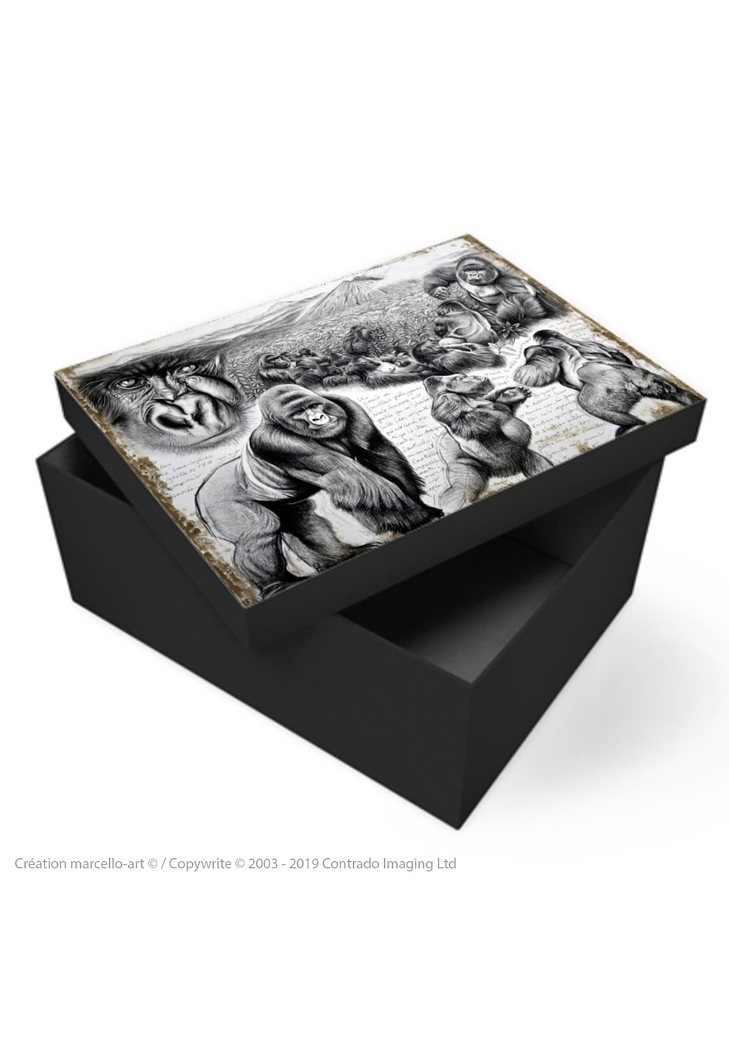 Marcello-art: Decoration accessoiries Souvenir box 301 Virunga gorilla