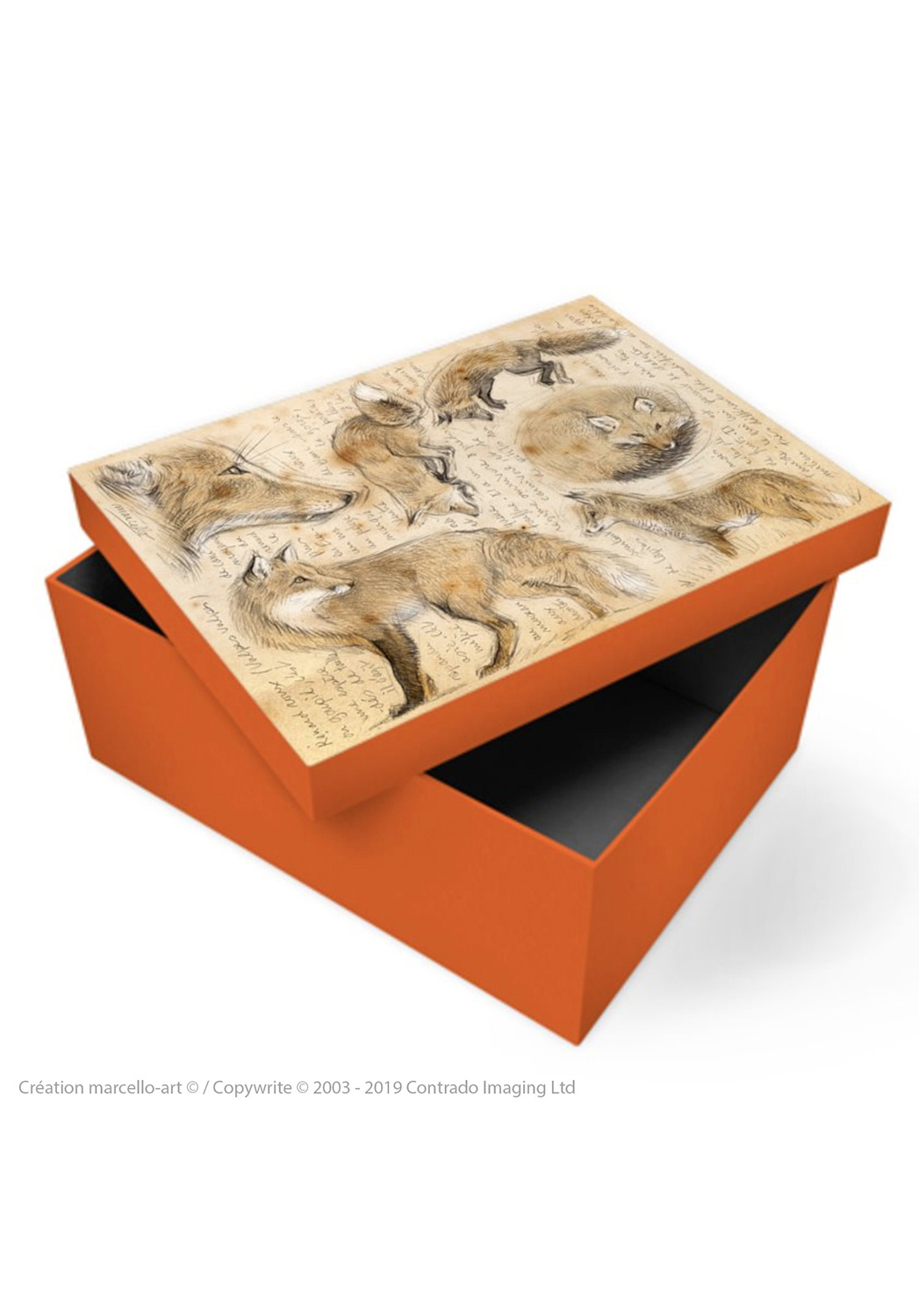 Marcello-art : Accessoires de décoration Boîte à souvenirs 336 renard roux