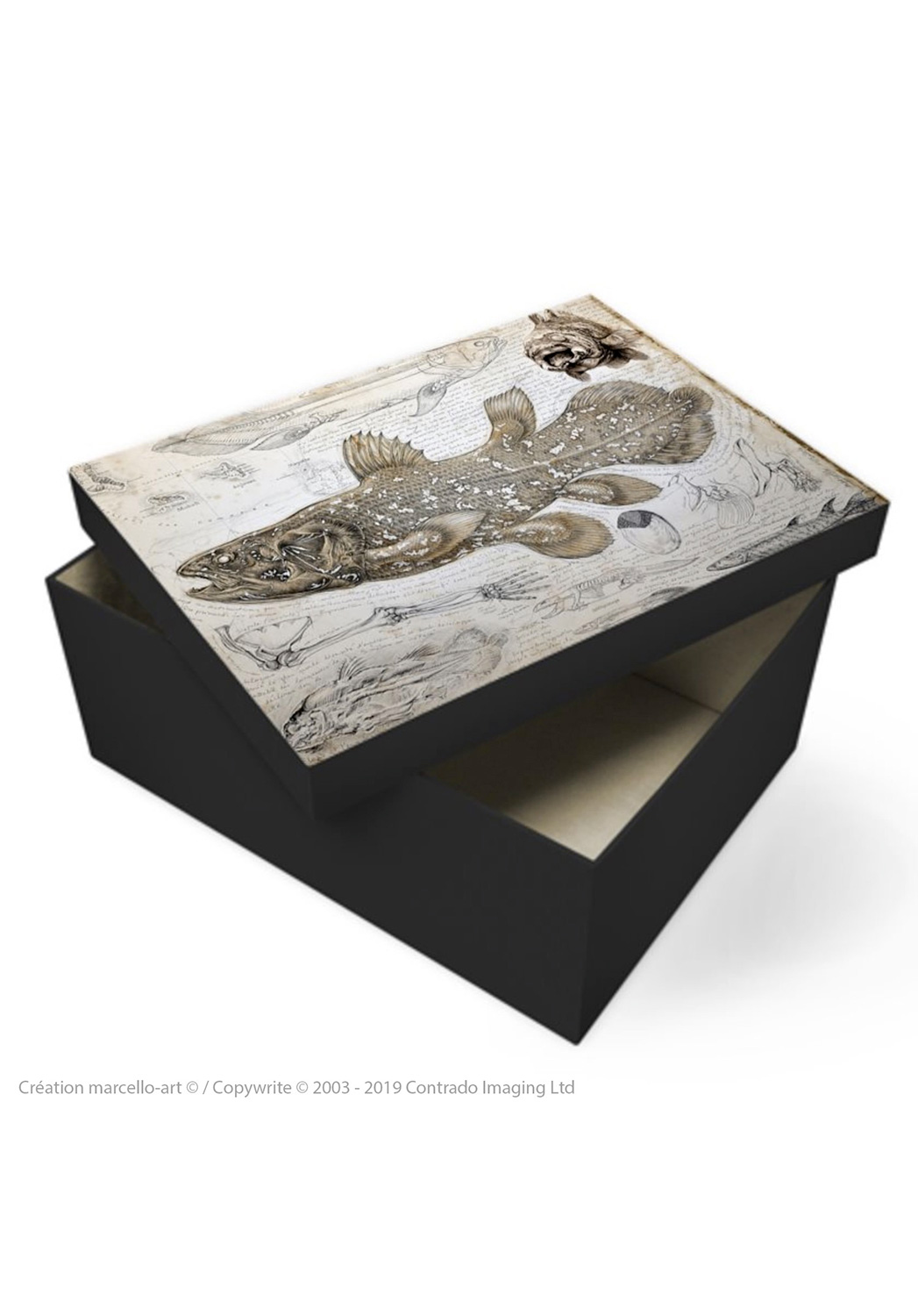 Marcello-art : Accessoires de décoration Boîte à souvenirs 346 Latimeria chalumnae