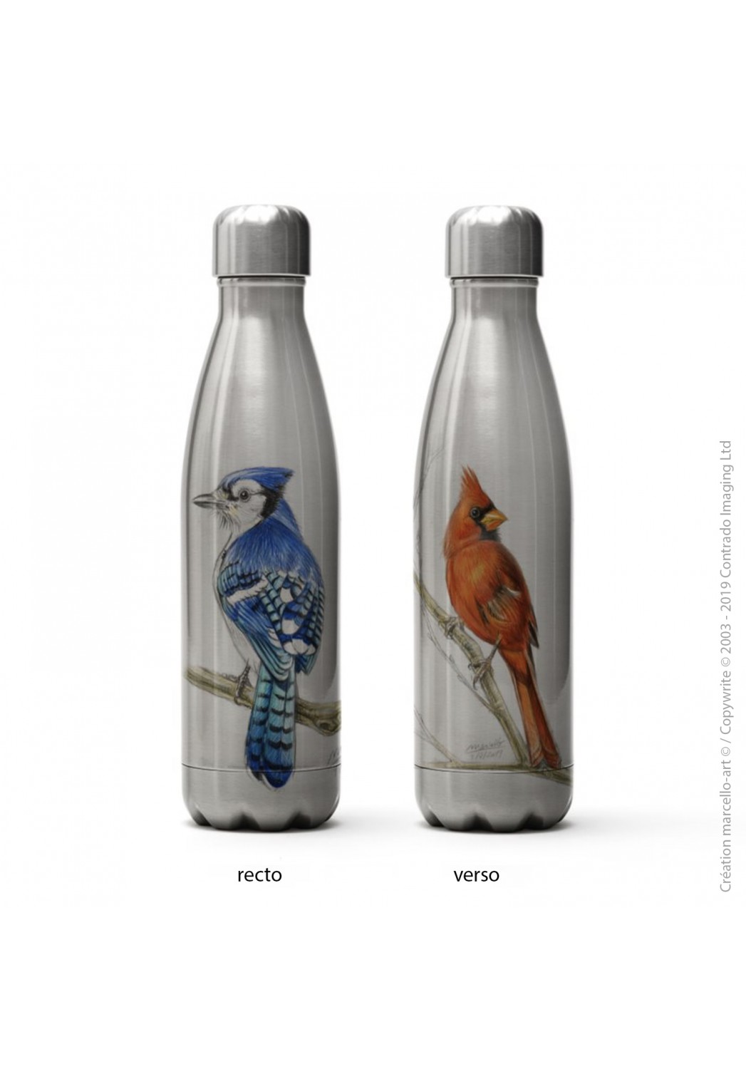 Marcello-art: Decoration accessoiries Isothermal bottle inox 393 blue jay & cardinal