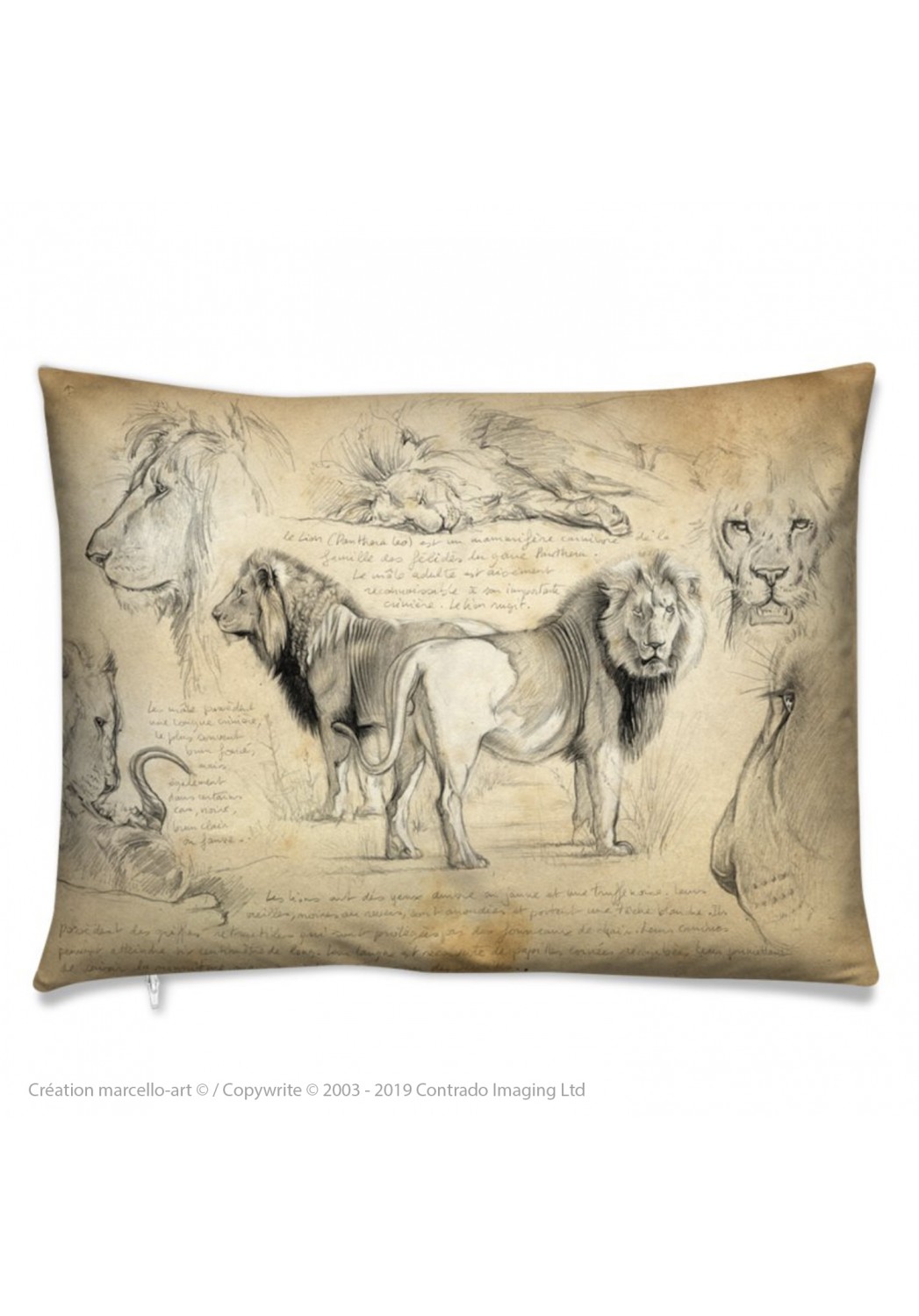 Marcello-art: Fashion accessory Cushion 54 lions brothers