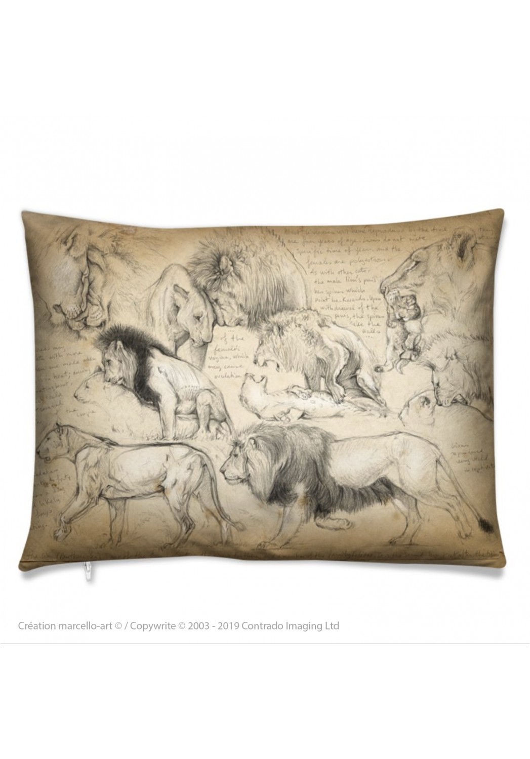 Marcello-art: Fashion accessory Cushion 181 mating lions