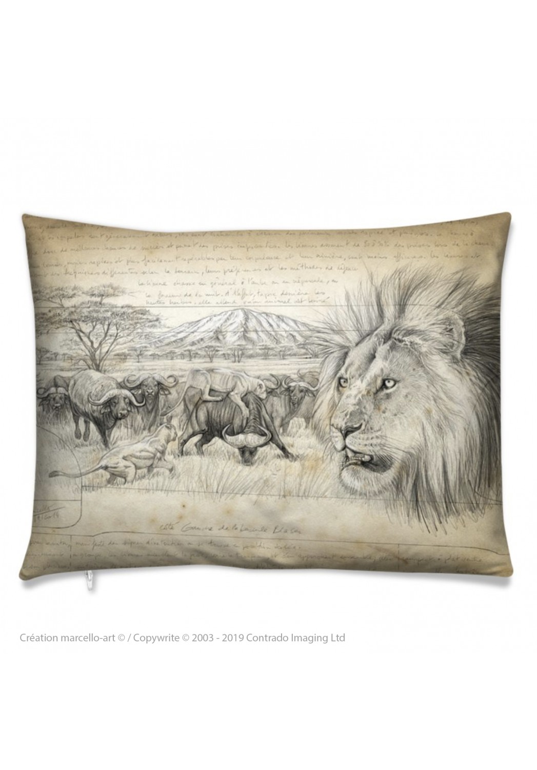 Marcello-art: Fashion accessory Cushion 275 lion engraving