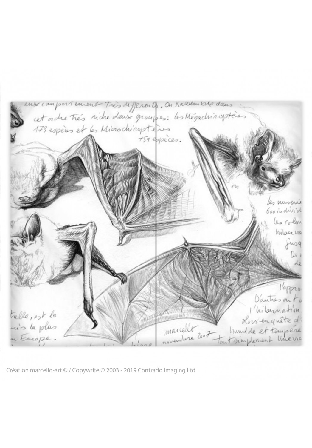 Marcello-art : Accessoires de mode Housse de couette 31 pipistrelles blanches