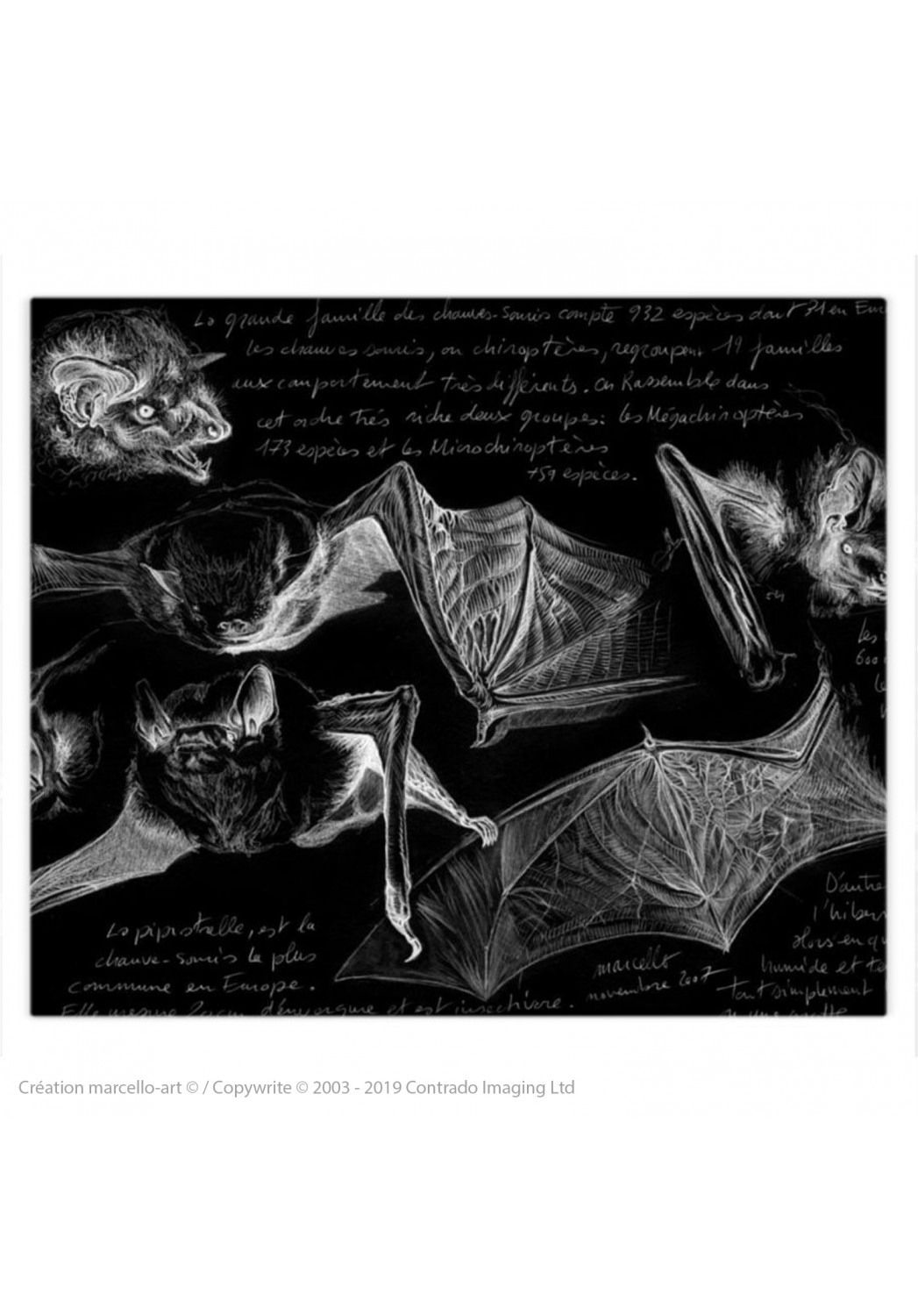 Marcello-art : Accessoires de mode Housse de couette 31 pipistrelles noires