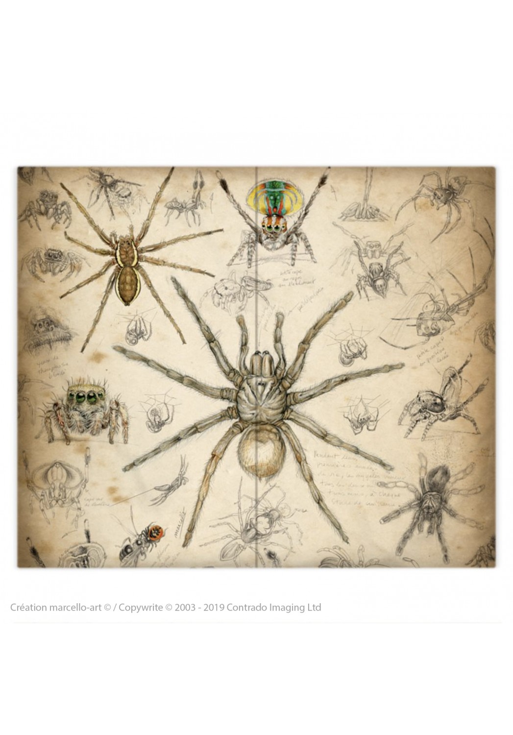 Marcello-art: Fashion accessory Duvet cover 82 Arachna
