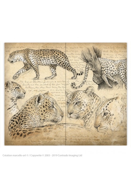 Marcello-art: Fashion accessory Duvet cover 180 leopard