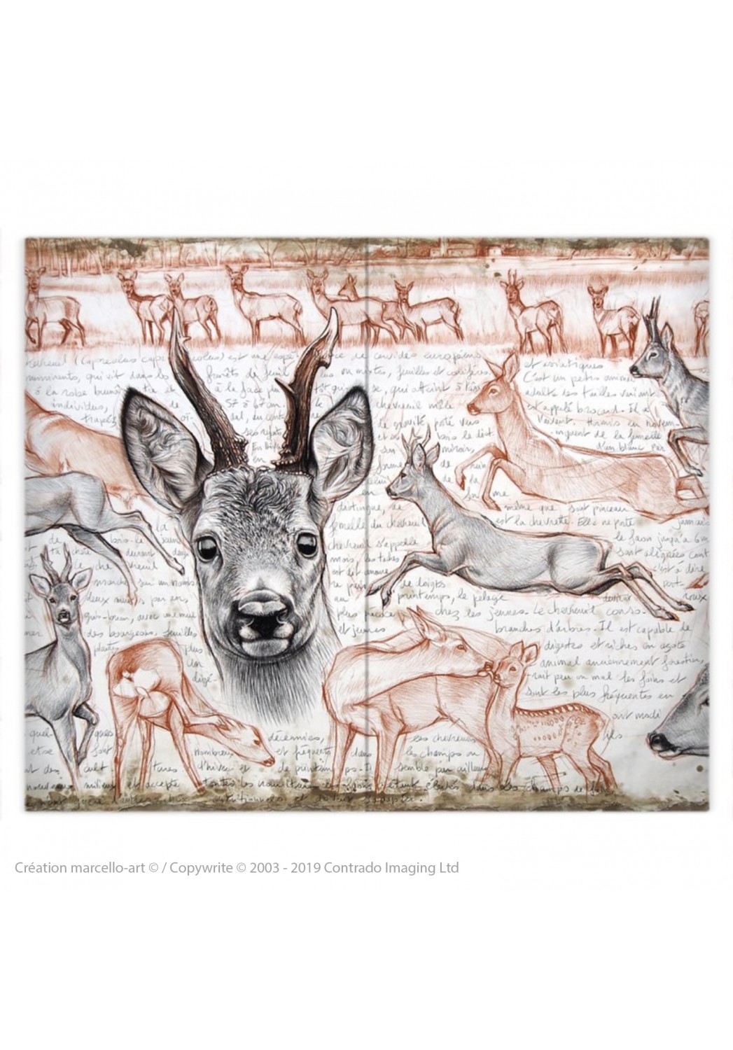 Marcello-art: Fashion accessory Duvet cover 280 roe deer