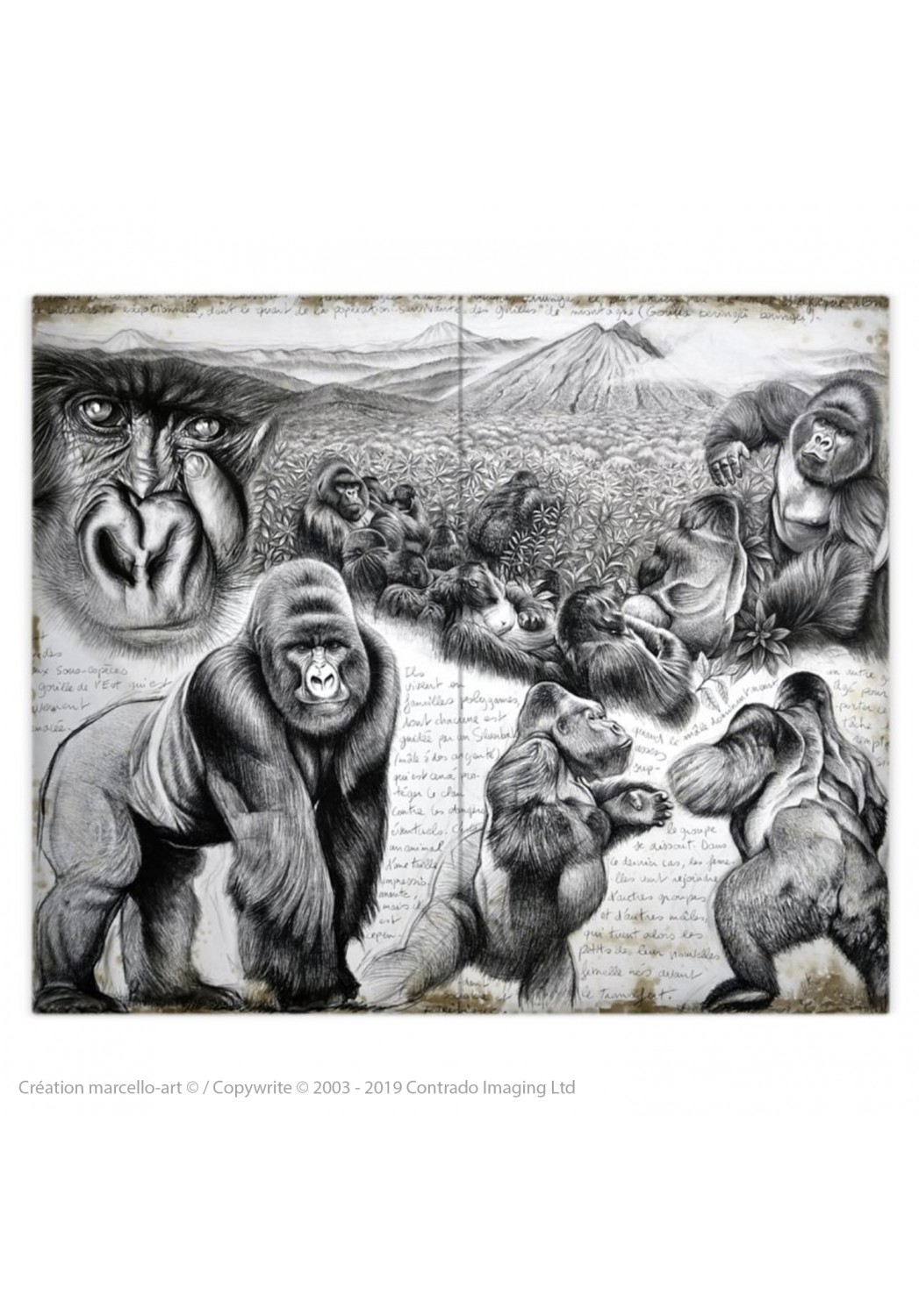 Marcello-art : Accessoires de mode Housse de couette 301 gorilles Virunga