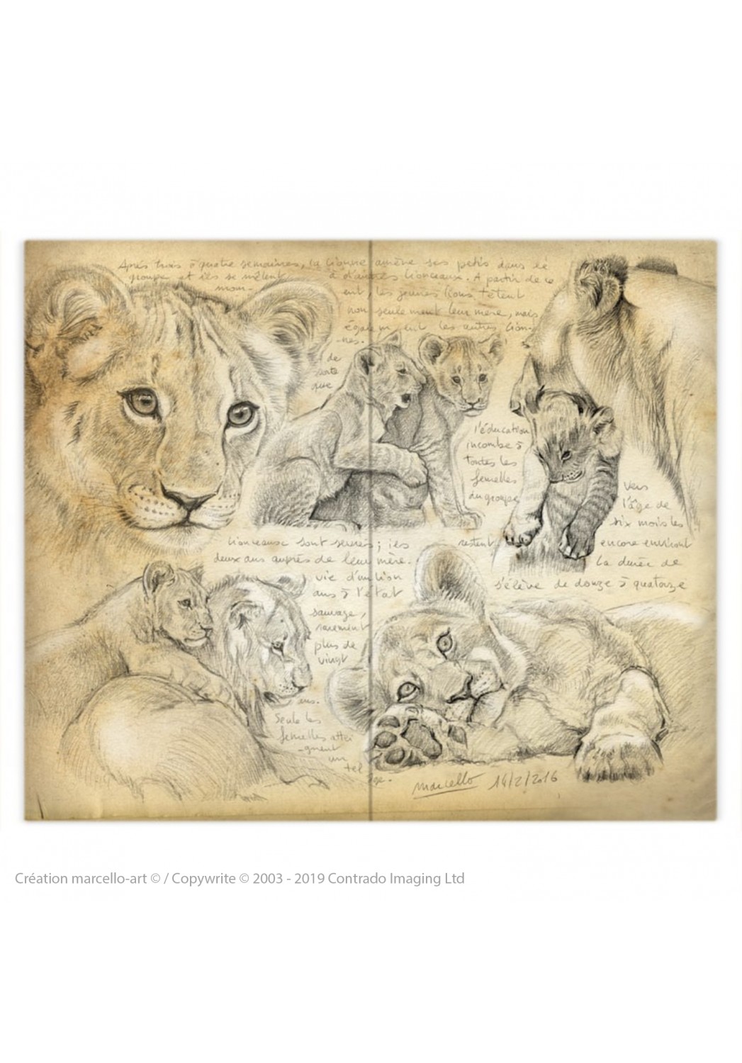 Marcello-art: Fashion accessory Duvet cover 330 lion cubs