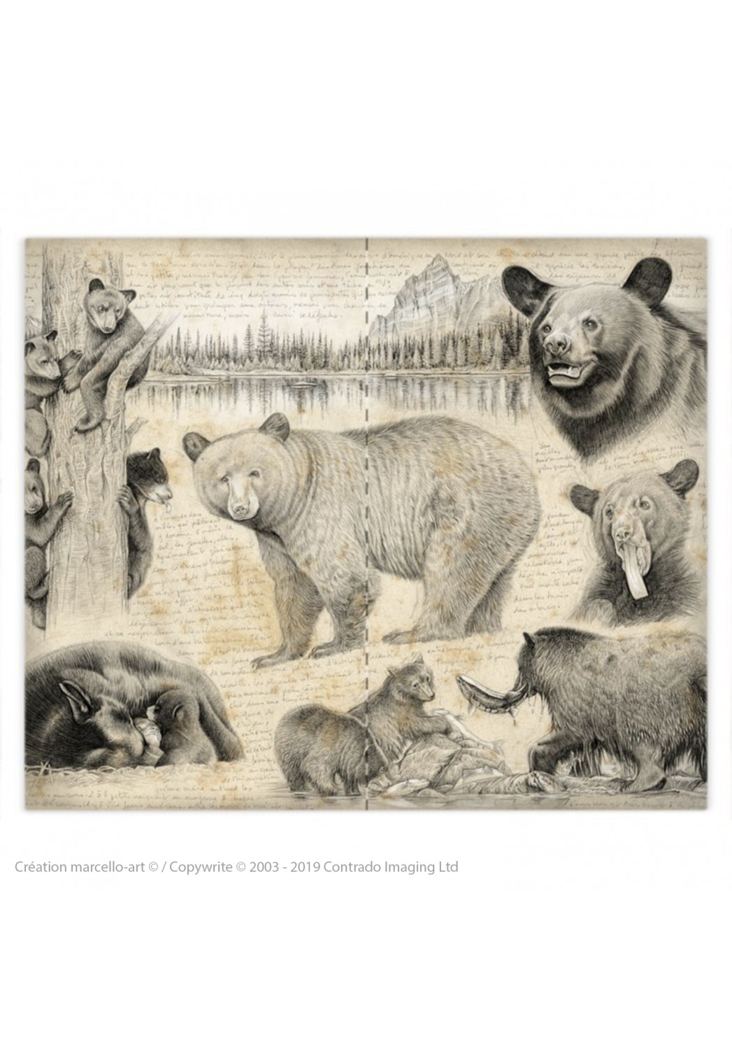 Marcello-art : Accessoires de mode Housse de couette 382 ours noir