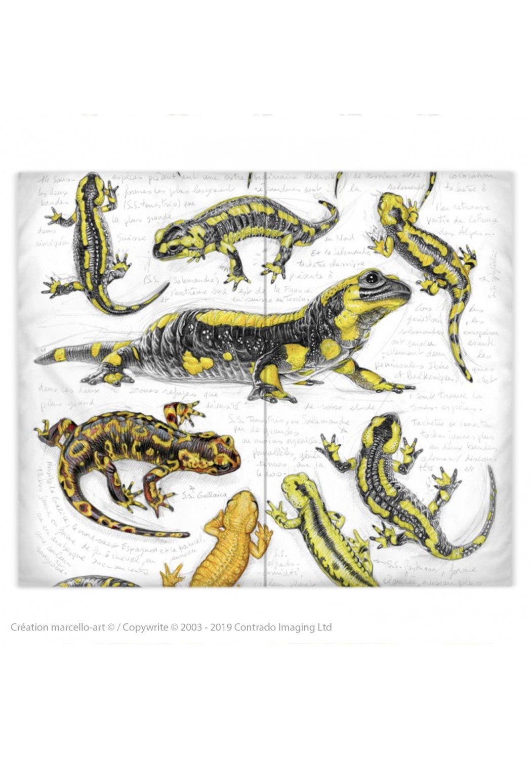 Marcello-art : Accessoires de mode Housse de couette 383 salamandres