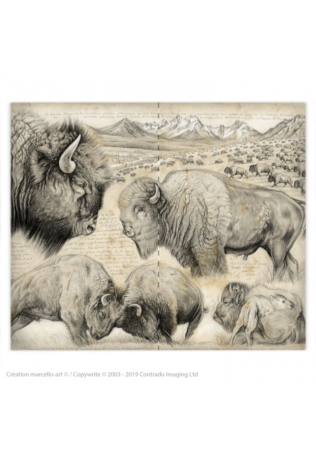 Marcello-art : Accessoires de mode Housse de couette 390 bison