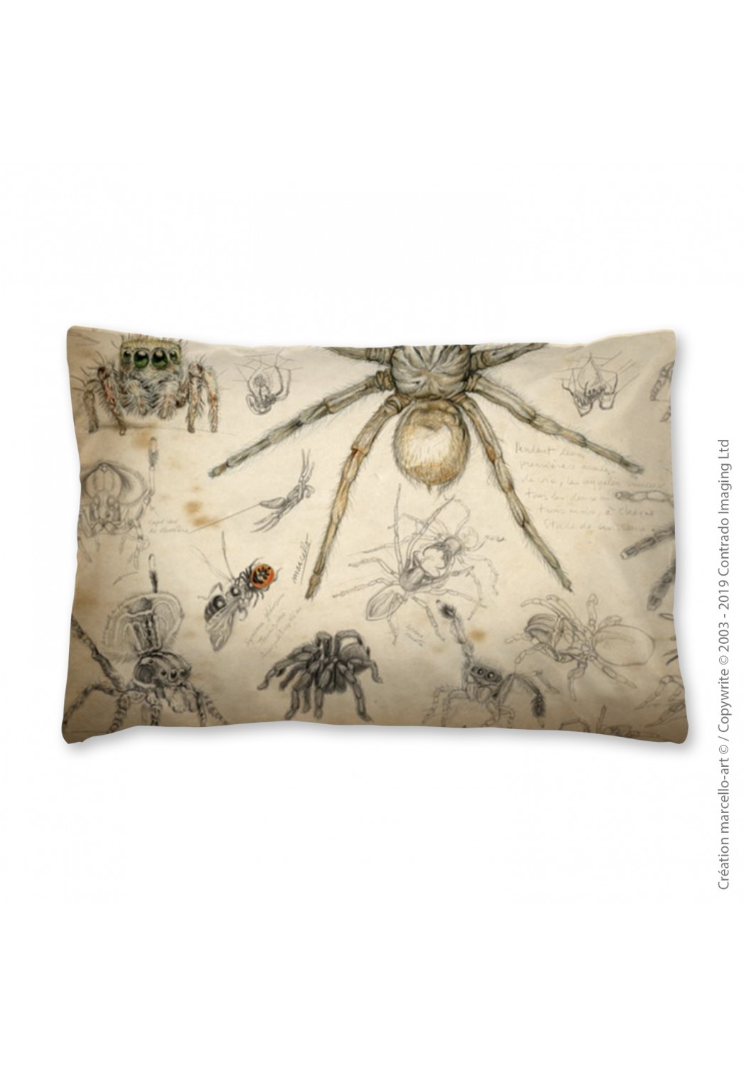 Marcello-art: Fashion accessory Pillowcase 82 A Arachna