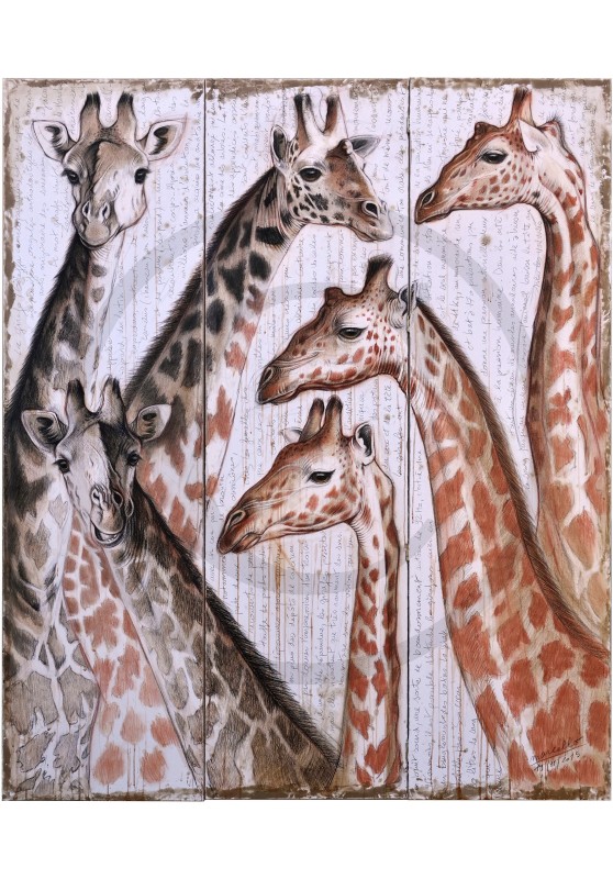Marcello-art : Faune Zones Tropicales 300 - Girafes