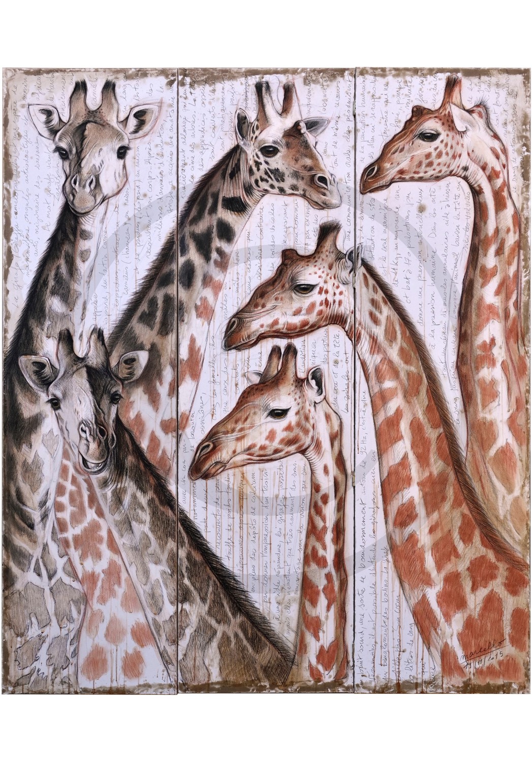 Marcello-art: African Wildlife 300 - Giraffe