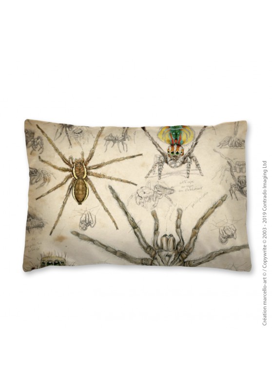 Marcello-art : Accessoires de mode Taie 82 A Arachna