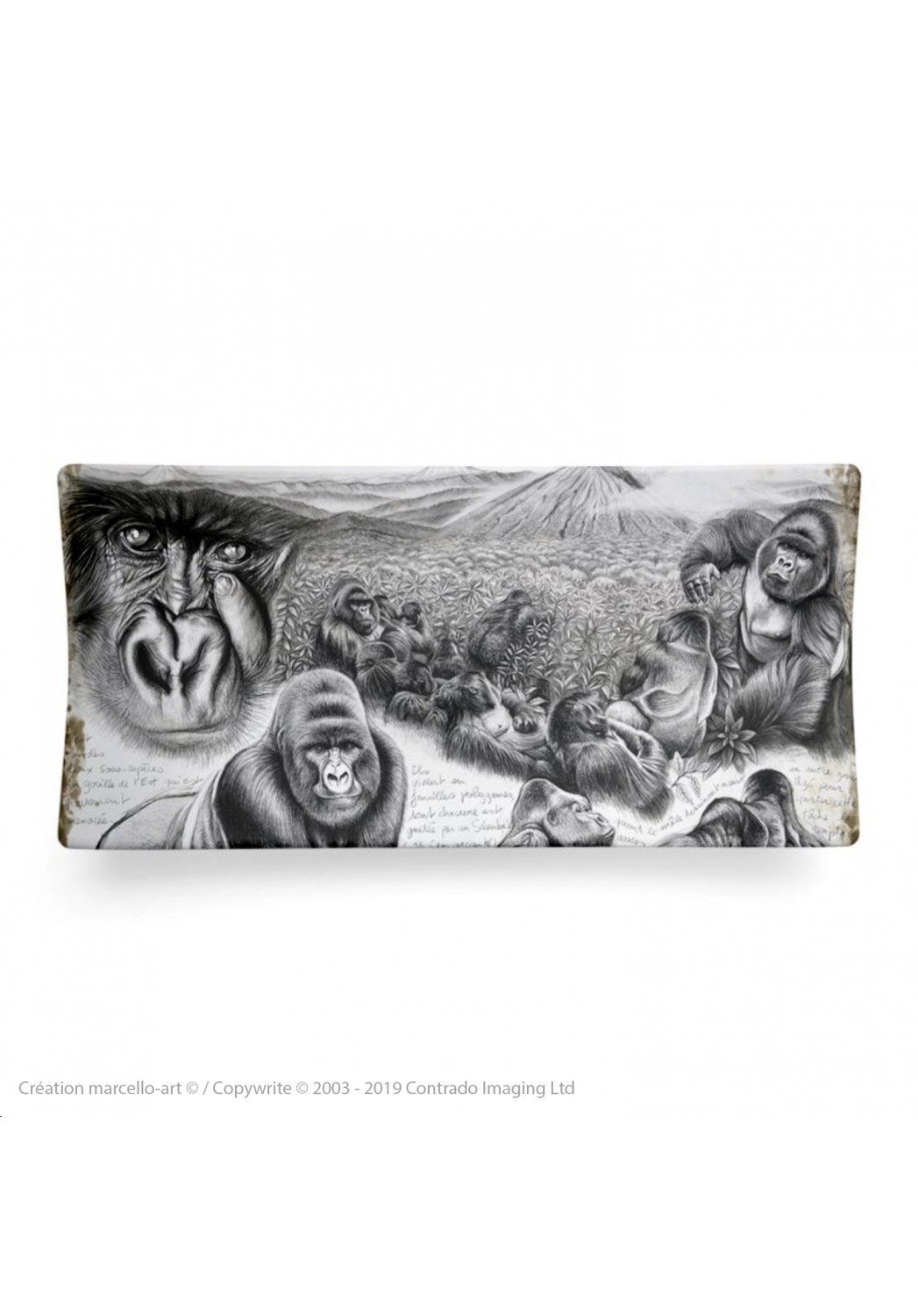 Marcello-art: Rectangular plates Rectangular plate 301 Virunga gorilla