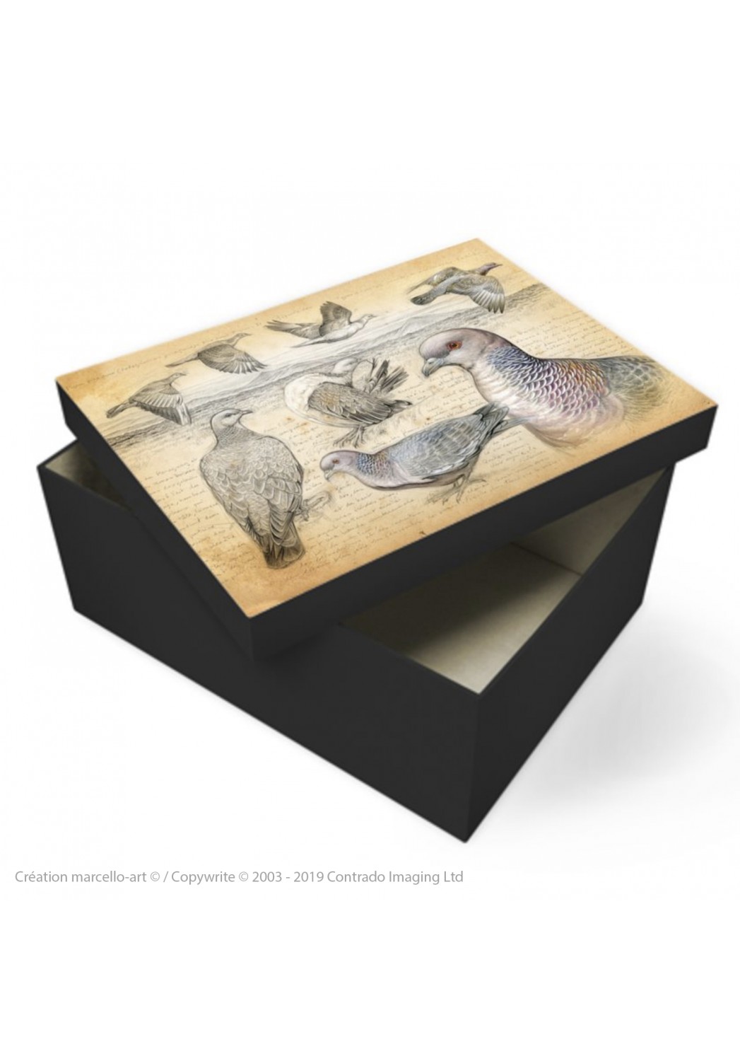 Marcello-art : Accessoires de décoration Boîte à souvenirs 233 Pigeon picazuro