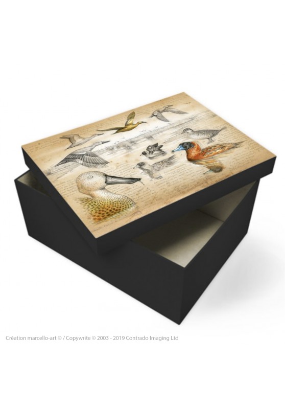 Marcello-art: Decoration accessoiries Souvenir box 235 Masked Duck