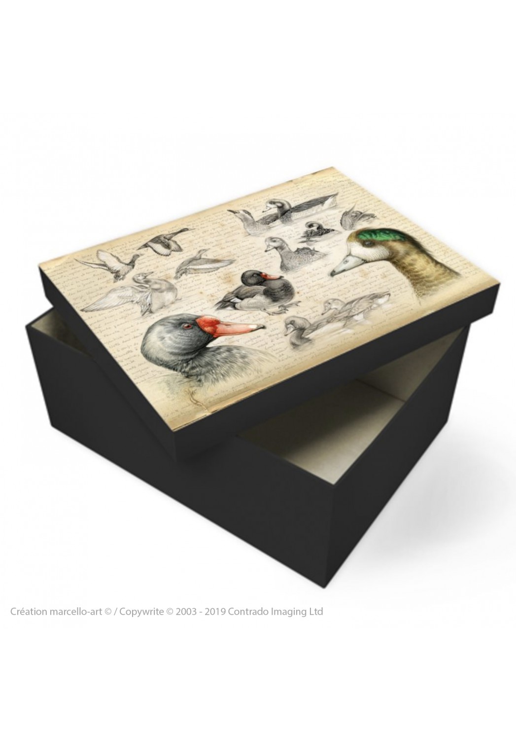 Marcello-art: Decoration accessoiries Souvenir box 236 Chiloé Wigeon & Rosy-billed Pochard