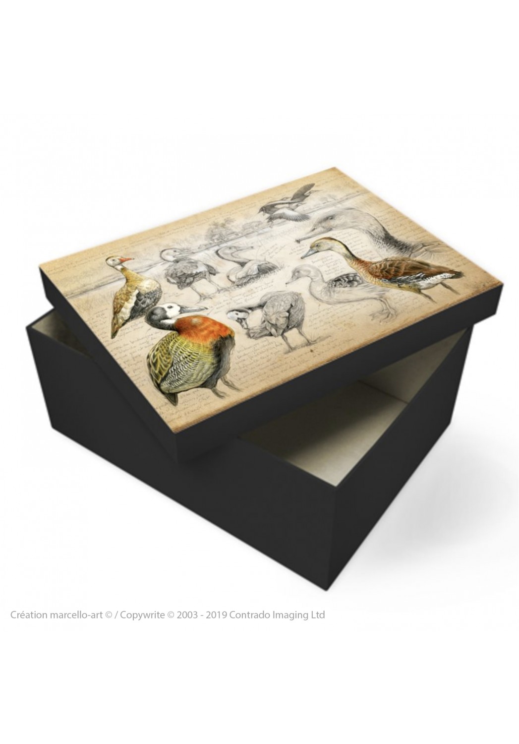 Marcello-art: Decoration accessoiries Souvenir box 237 Whistling Duck