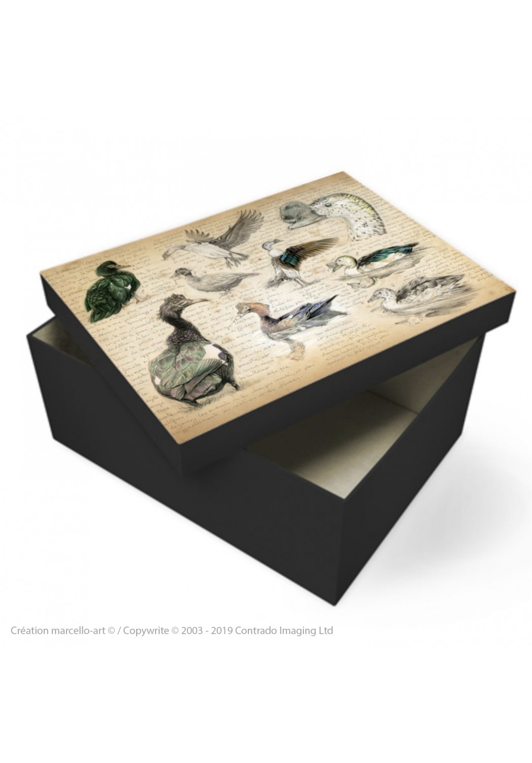 Marcello-art : Accessoires de décoration Boîte à souvenirs 238 Canard musqué et Canard à bosse