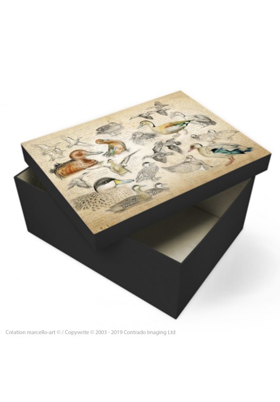Marcello-art: Decoration accessoiries Souvenir box 239 Cinnamon teal, from Brazil, spotted and versicolor