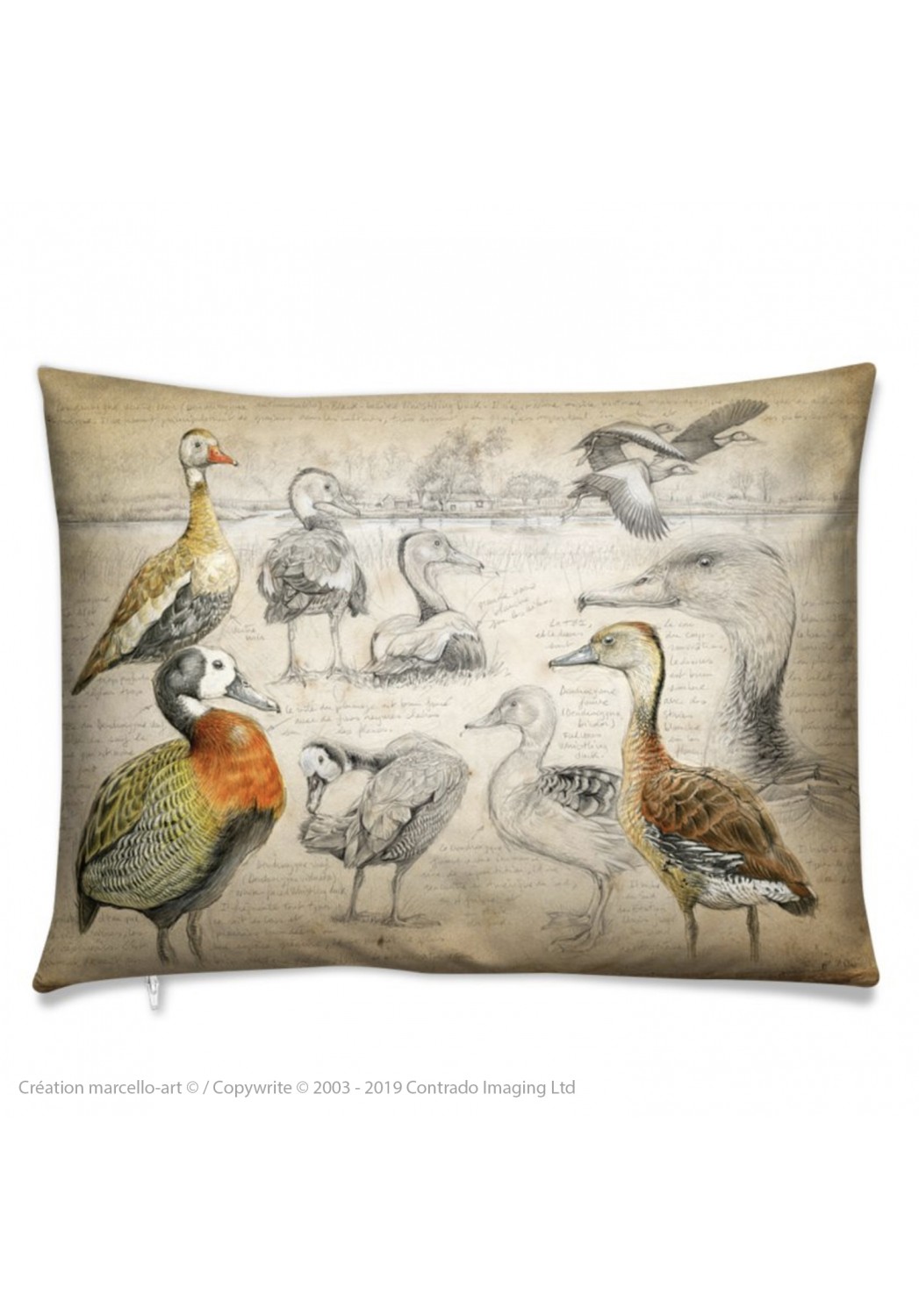 Marcello-art: Fashion accessory Cushion 237 Whistling Duck