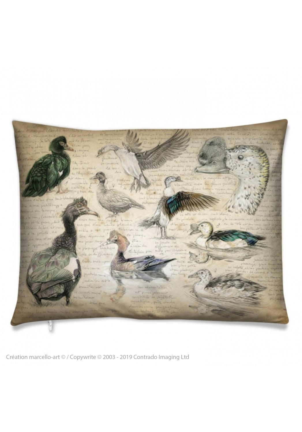 Marcello-art: Fashion accessory Cushion 238 Muscovy Duck & Knob-billed Duck