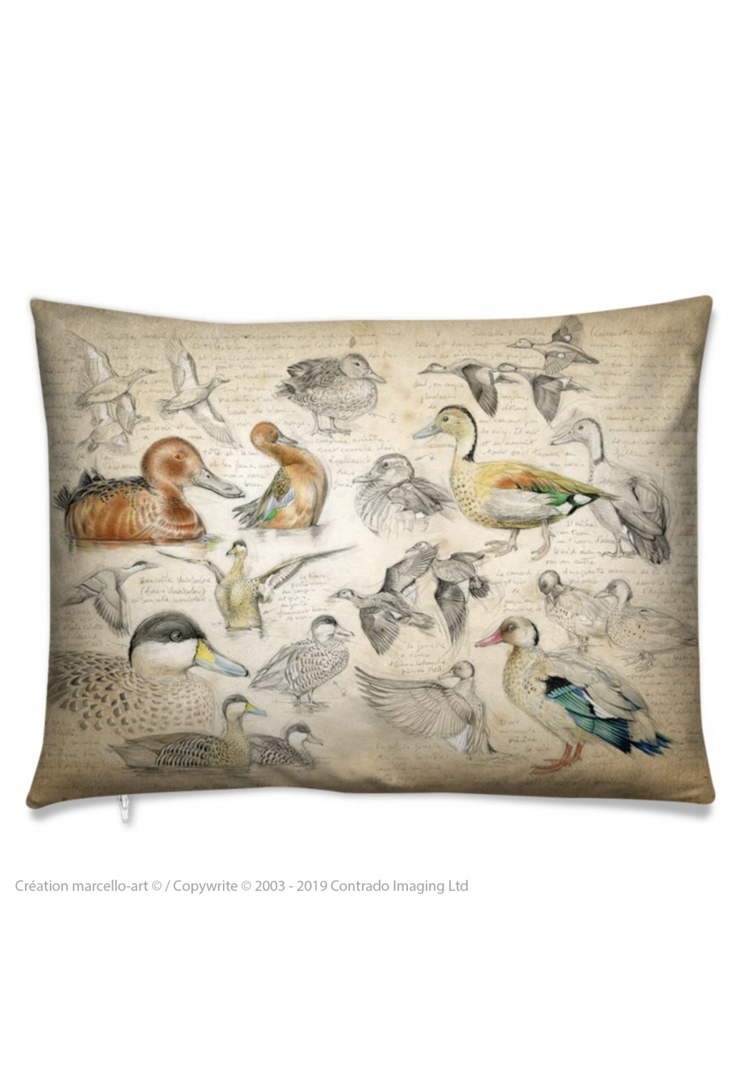 Marcello-art: Fashion accessory Cushion 239 Cinnamon teal, from Brazil, spotted and versicolor