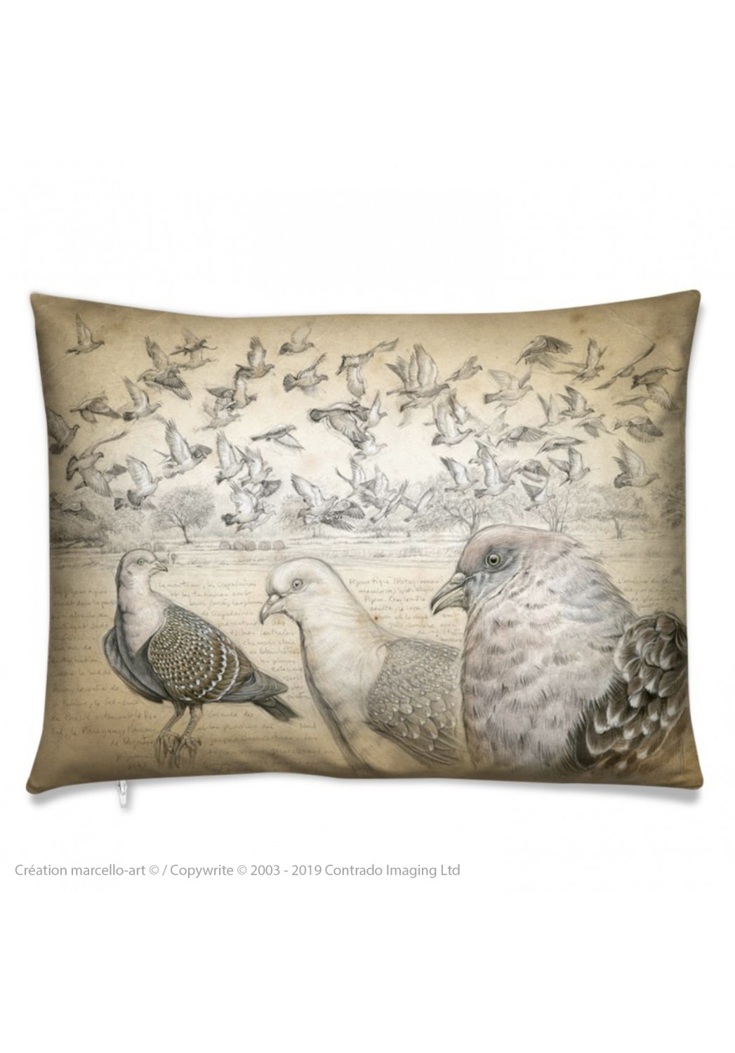 Marcello-art: Fashion accessory Cushion 232 Spot-winged Pigeon
