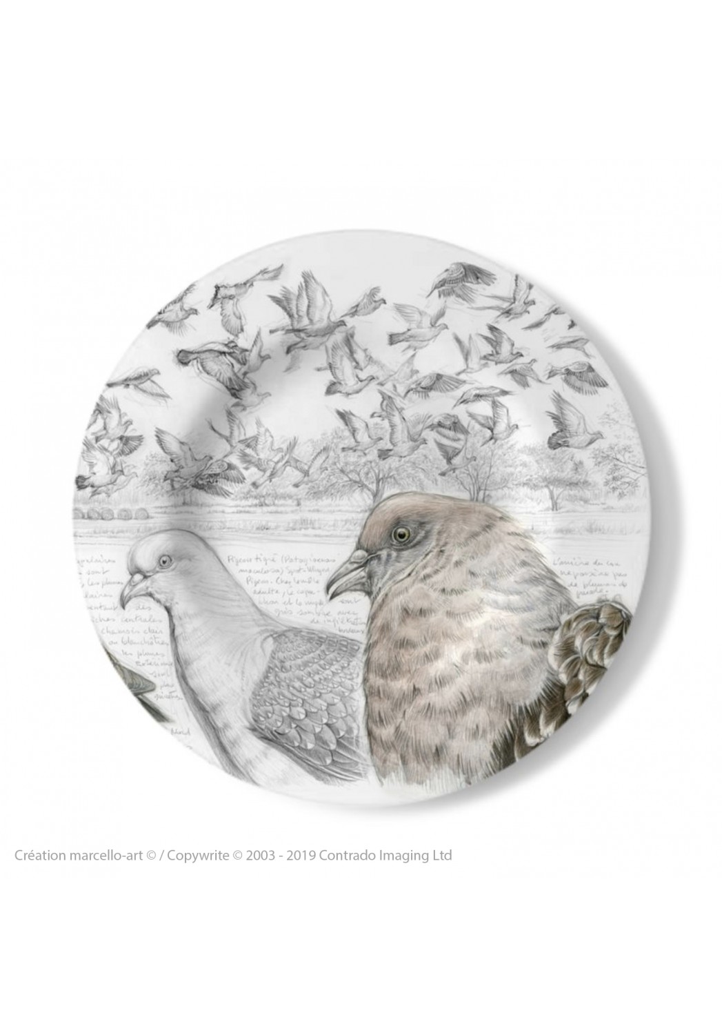 Marcello-art: Decorating Plates Decoration plates 232 Spot-winged Pigeon