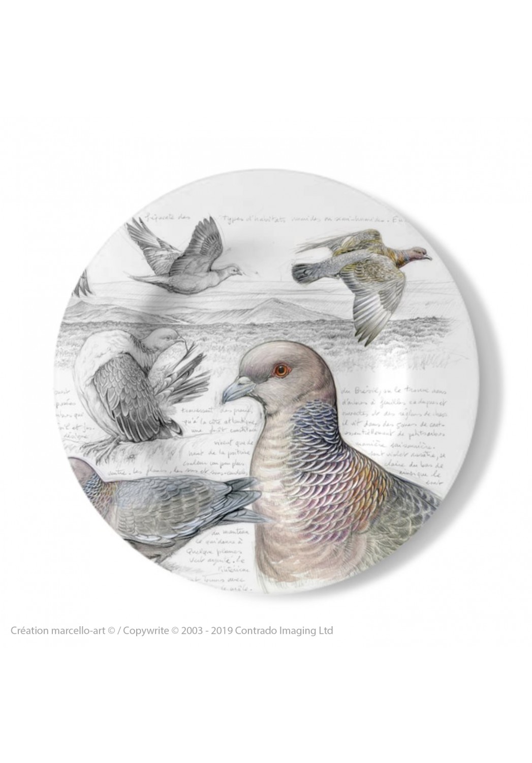 Marcello-art : Assiettes de décoration Assiette décorative 233 Pigeon picazuro