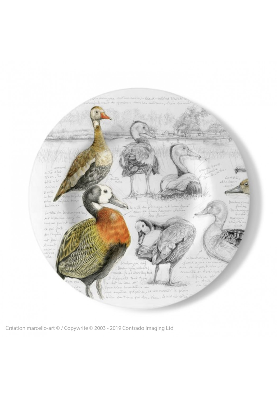 Marcello-art: Decorating Plates Decoration plates 237 A Whistling Duck
