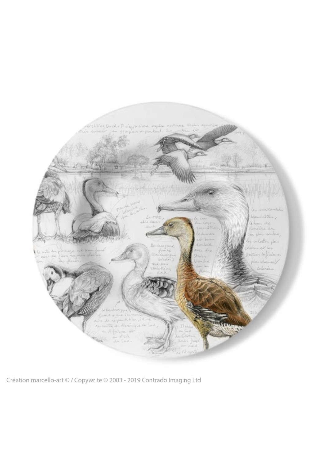 Marcello-art: Decorating Plates Decoration plates 237 B Whistling Duck