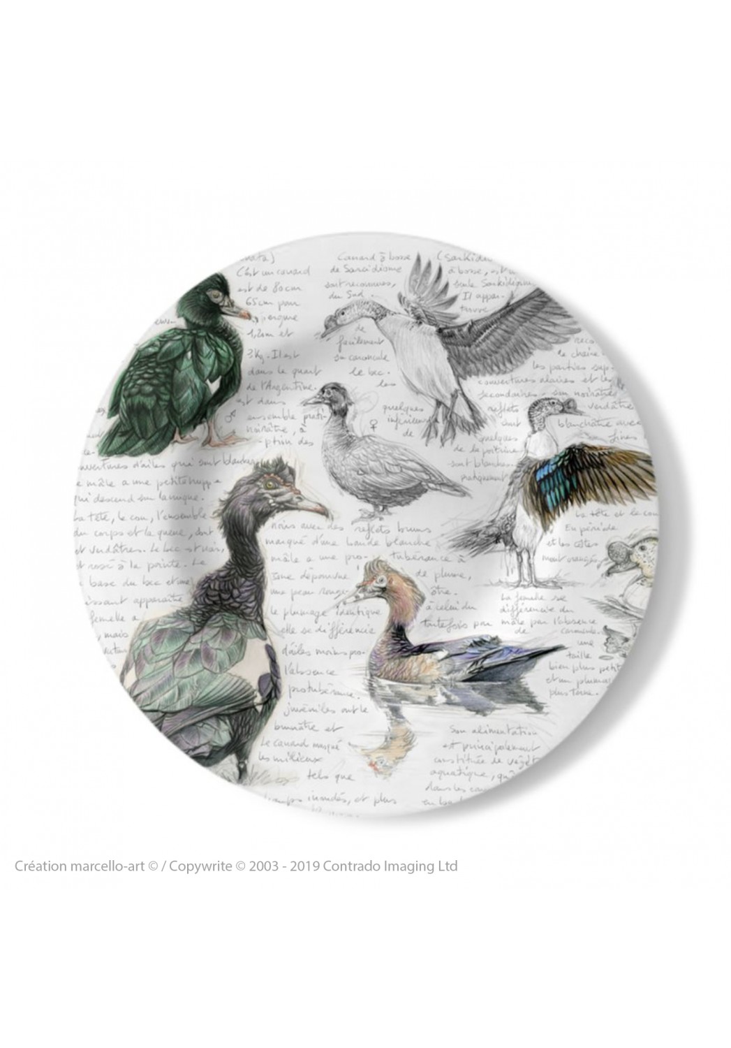 Marcello-art: Decorating Plates Decoration plates 238 Muscovy Duck & Knob-billed Duck