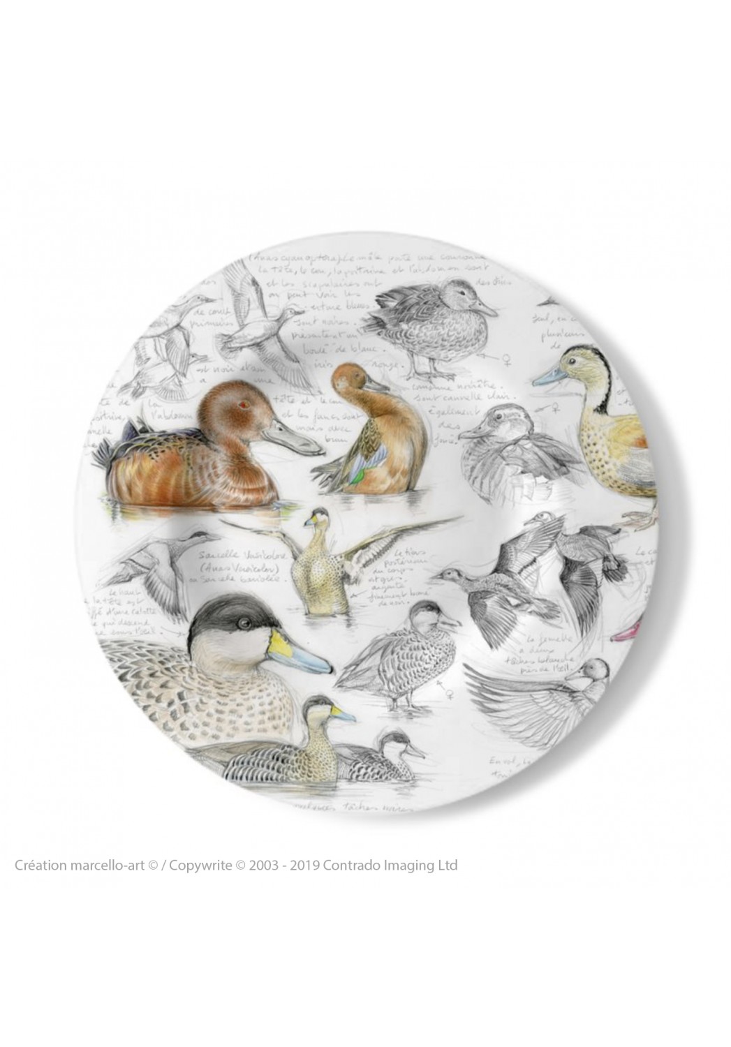 Marcello-art: Decorating Plates Decoration plates 239 A Cinnamon teal, from Brazil, spotted and versicolor