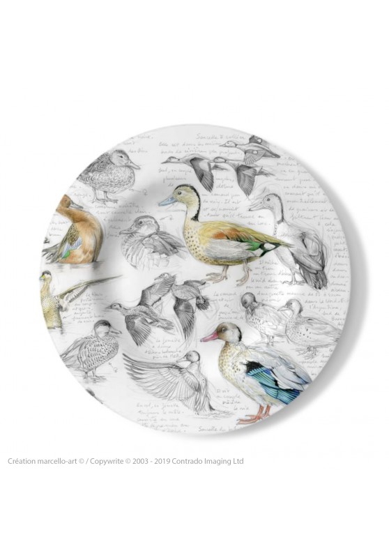 Marcello-art: Decorating Plates Decoration plates 239 B Cinnamon teal, from Brazil, spotted and versicolor
