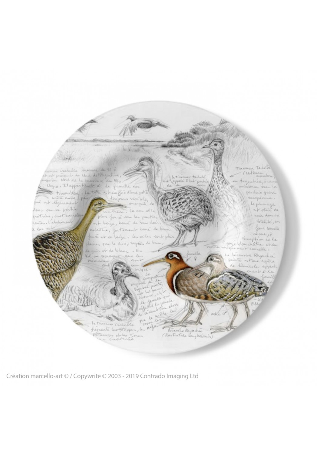 Marcello-art: Decorating Plates Decoration plates 240 Tinamou & Snipe