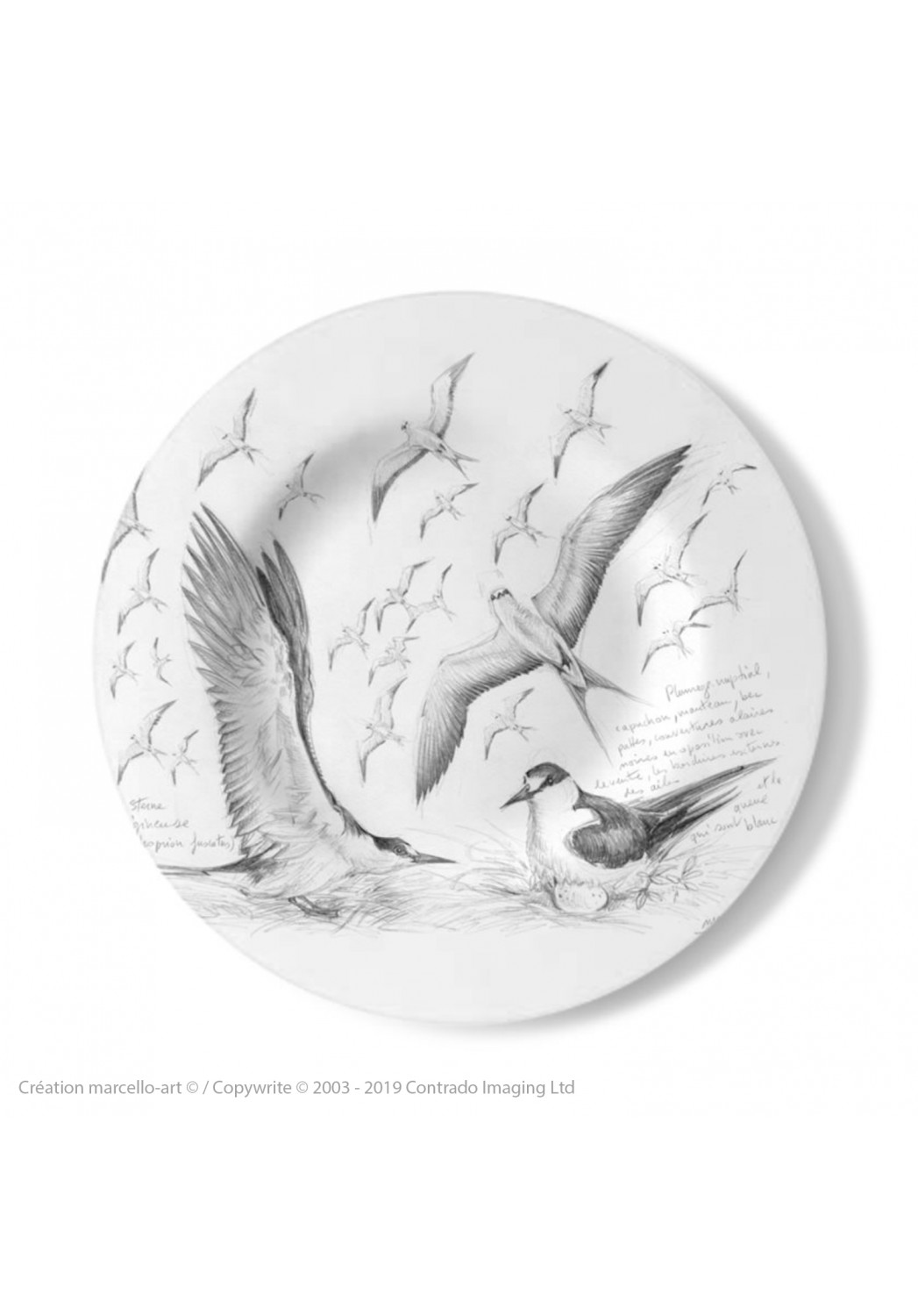 Marcello-art: Decorating Plates Decoration plates 337 Sooty terns