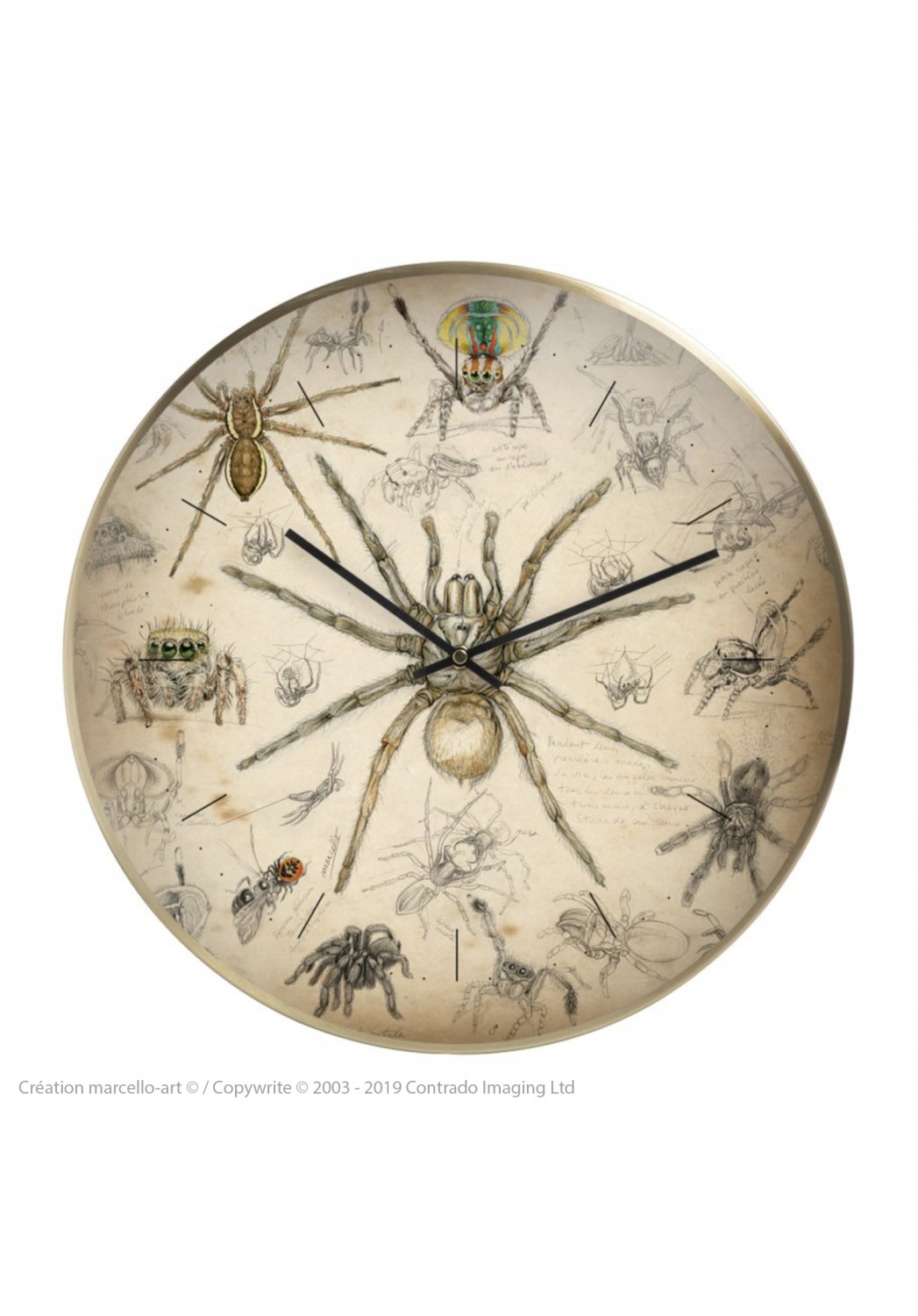 Marcello-art: Decoration accessoiries Wall clock 82 Arachna