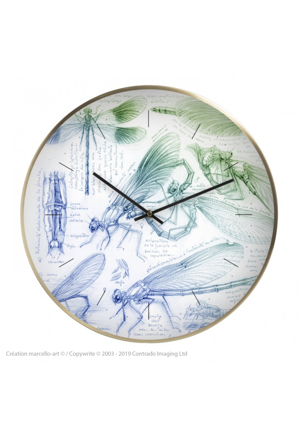 Marcello-art: Decoration accessoiries Wall clock 255 Calopteryx
