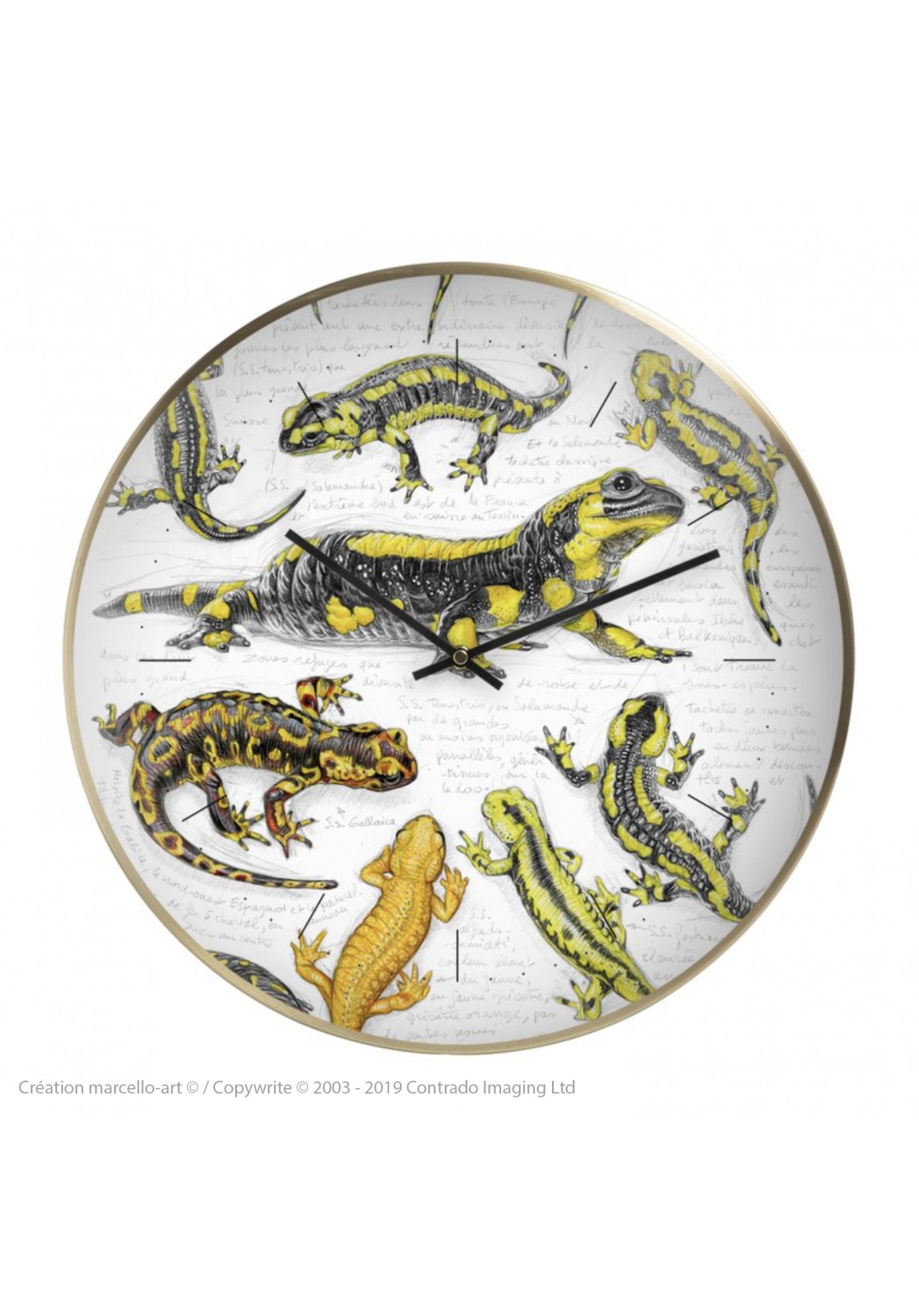 Marcello-art : Accessoires de décoration Horloge murale 383 Salamandre
