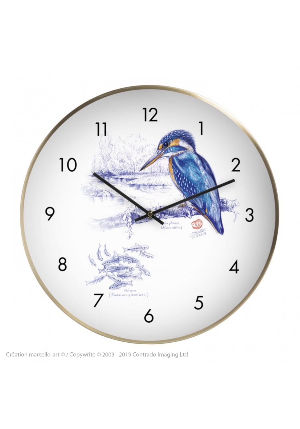 Marcello-art: Decoration accessoiries Wall clock 398 European Kingfisher